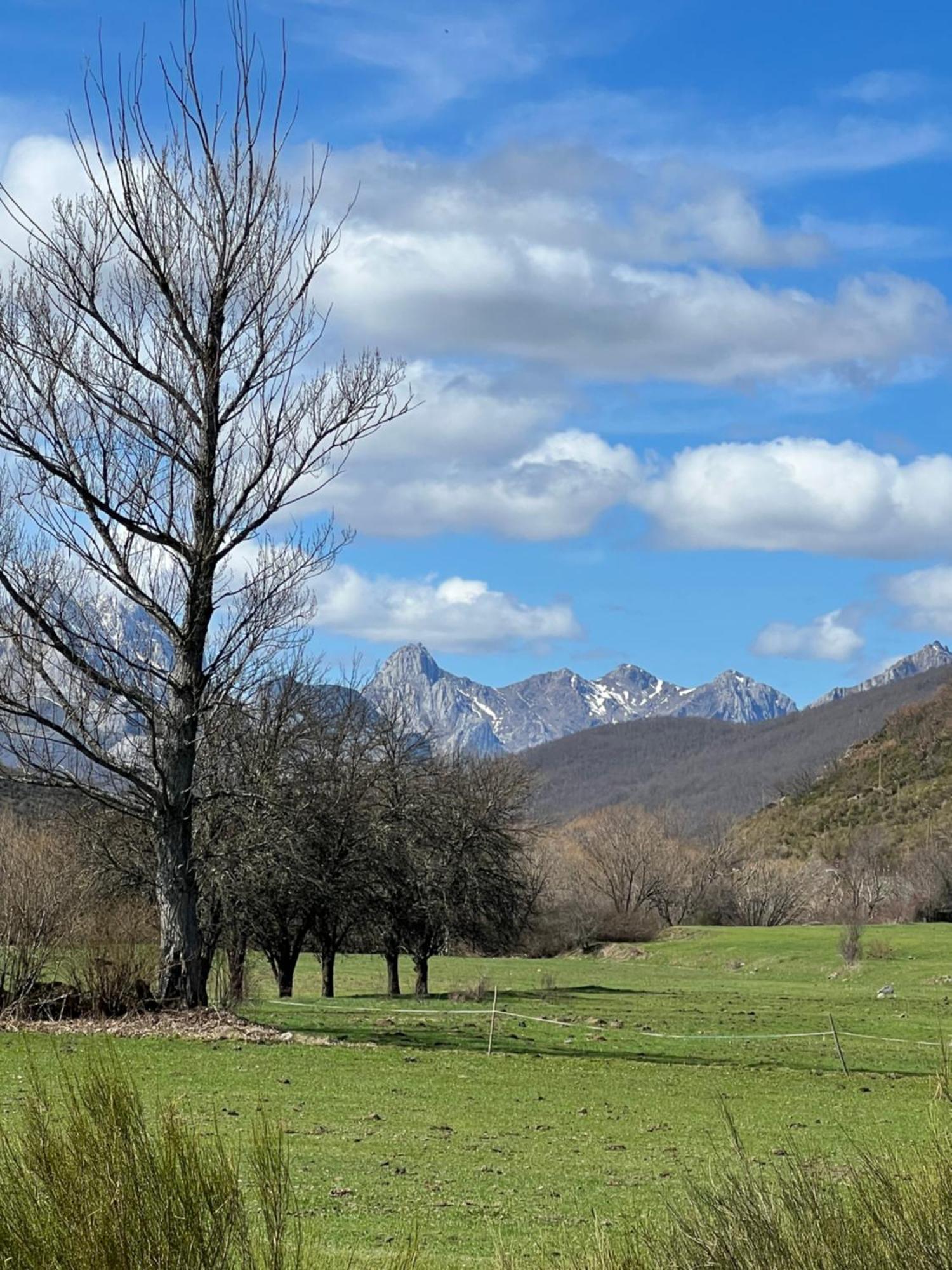 Tierra De La Reina Otel Boca de Huérgano Dış mekan fotoğraf